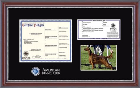 Akc frames - Protect and proudly display your American Kennel Club credentials in our high-quality Walnut finish Silver Embossed Pedigree & 8" x 10" Photo Frame, which is custom-handcrafted in the USA.